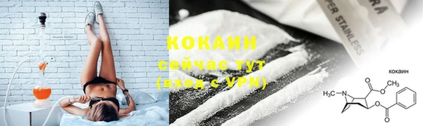 стаф Инта