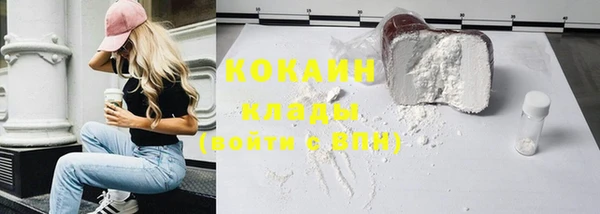 тгк Алзамай