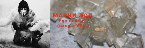 индика Инсар