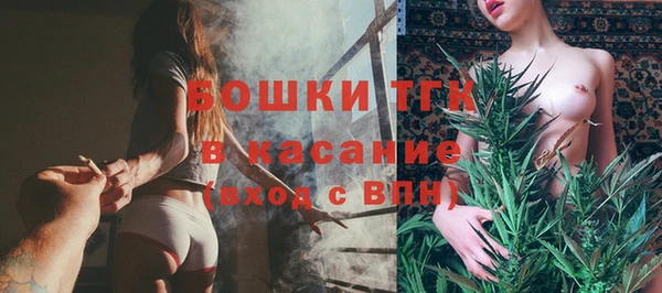 дмт Алексин