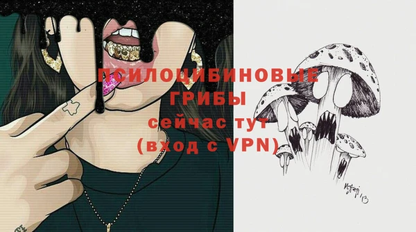 тгк Алзамай