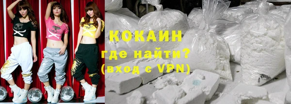 дмт Алексин