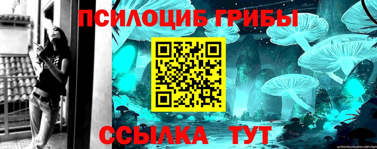 Карабулак  Псилоцибиновые грибы Cubensis  Вход с VPN 